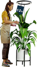 12" Grow Lights for Large Indoor Plants, Full Spectrum Indoor Plant Lights for Indoor Growing,Height Adjustable 15"-65",Timer Auto On/Off 3/9/12H,9 Brightness,Led Tall Halo Grow Light for House Plants