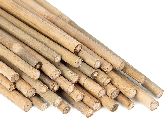 GAGINANG Plant Stakes Natural Garden Bamboo Sticks for Indoor and Outdoor, 20pcs for Tomatoes, Beans, Potted Plants - 18 inches