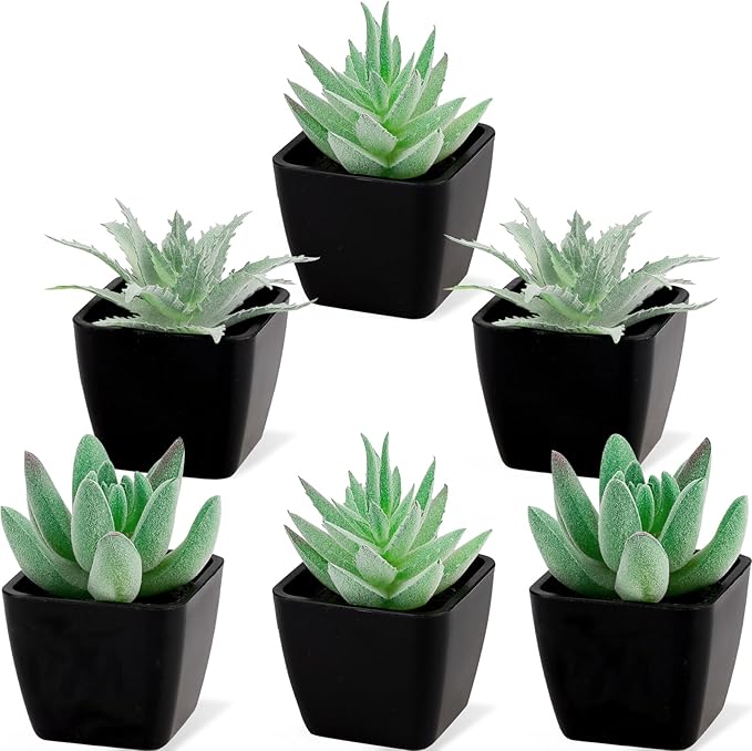Woration 6pcs Fake Succulent Plants in Black Pots Artificial Mini Succulents Potted Green Decor Set Faux Greenery for Office Desk Table Shelf Party Decorations