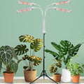 420 LED Grow Lights for Indoor Plants Full Spectrum, LED Plant Light with Stand, Adjustable Height, Plant Grow Lights with Auto 4/8/12/H Timer for Indoor Tall Plants.