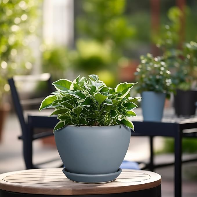 Ceramicfor Ceramic Pot for Plants - 6 Inch Plant Pot Indoor with Drainage Hole and Saucer Decorative Planter for Outdoor Plants Modern Succulent Pots Round Flower Pots Gray