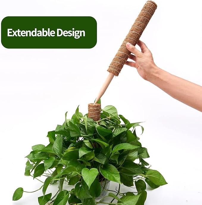 Eibikdi 6 Pcs Moss Pole Extending to 68 Inches for Plants Monstera, Plant Support Stakes for Indoor Climbing Plants Grow Upwards, with 65ft Twist Ties, 13ft Jute Rope, 6.5ft Hook-and-Loop Strip