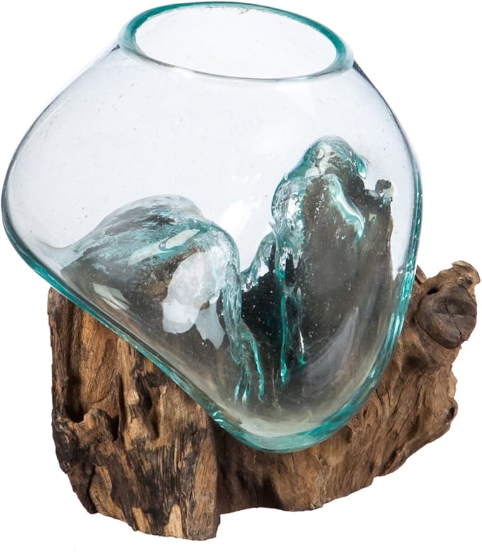 Cape Craftsmen 7" Hand-Blown Blue Tinted Bubble Glass On Natural Teak Driftwood Terrarium Kit | Home Décor Indoor Planter with Stand | Pot for Succulent and Plants