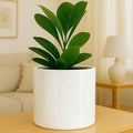 Fox & Fern 12" Large Plant Pot Fits Plant Stand - Drainage Plug - Outdoor Indoor - Matte White