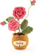 Crochet Flowers with Personalized Leather Name Tag Handmade Knitted Flowers for Home Office Desk Decor Crochet Rose Flower Potted Plant Crochet Gift for Women,Mom,Teacher, Birthday(Pink)
