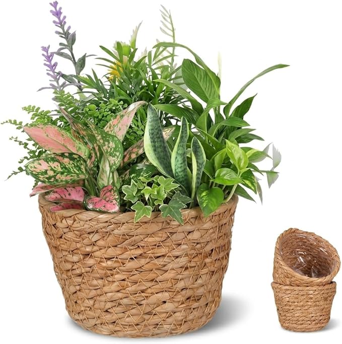 Alipis Wicker Planter: 5.1" Seagrass Plant Basket Indoor - Hand-Woven Planter Basket with Liner for Houseplants, Succulents & Boho Farmhouse Decor 2-Pack