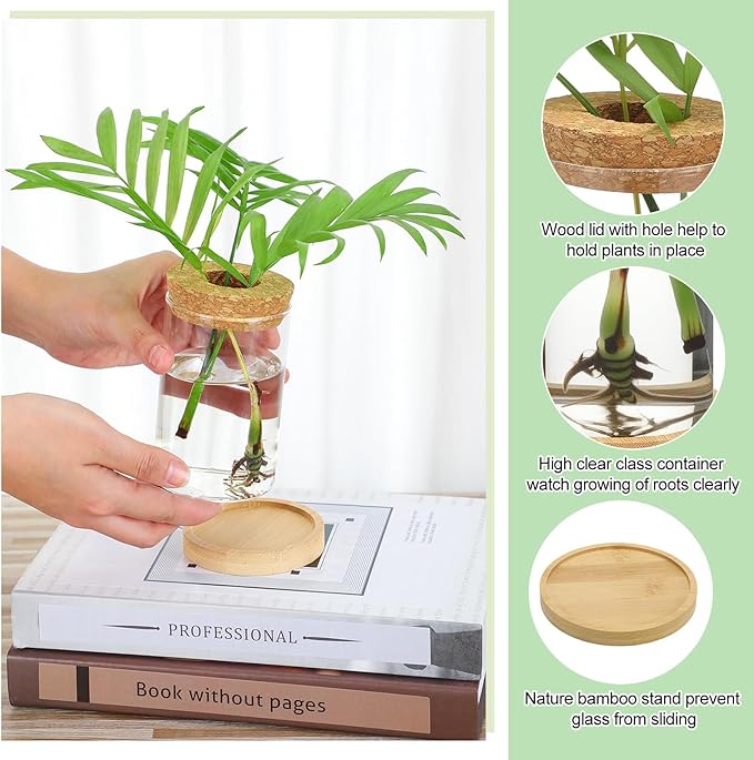 Honeydak 8 Pcs Plants Propagation Stations Planter Terrariums with Wooden Lid and Bamboo Stand Desktop Glass Propagation Vases for Plant Growing Hydroponic Home Office Tabletop Decoration