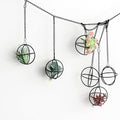6 Set Air Plants Hanging Holders Black Metal Himmeli Decor Modern Geometric Airplants Planter Air Fern Plants Hanger for for Home for Plant Lovers