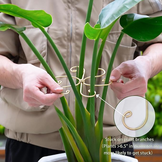 Yohsnor 6.5IN Monstera Plant Support Hook 5PCS Durable Stem Stabilizer for Indoor Plants | Easy Setup 5-Piece Set Ideal for Turtle Shell Leaf Support Ideal Present for Plant Lovers & Home Garden Décor
