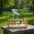 Plant Terrarium Desktop Glass Planter Hydroponics Vase,Plant Bulb Vase with Wooden Stand for Home Office Decoration