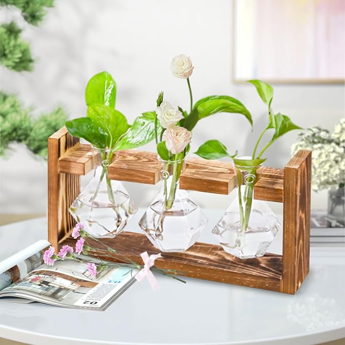Wooden Base Glass Vase - Plant Holder & Propagation Station for Hydroponic Plants, Desktop Terrarium with Wooden Stand, Stylish Home & Office Décor, Great Gift for Plant Enthusiasts (YMFLX-3B)