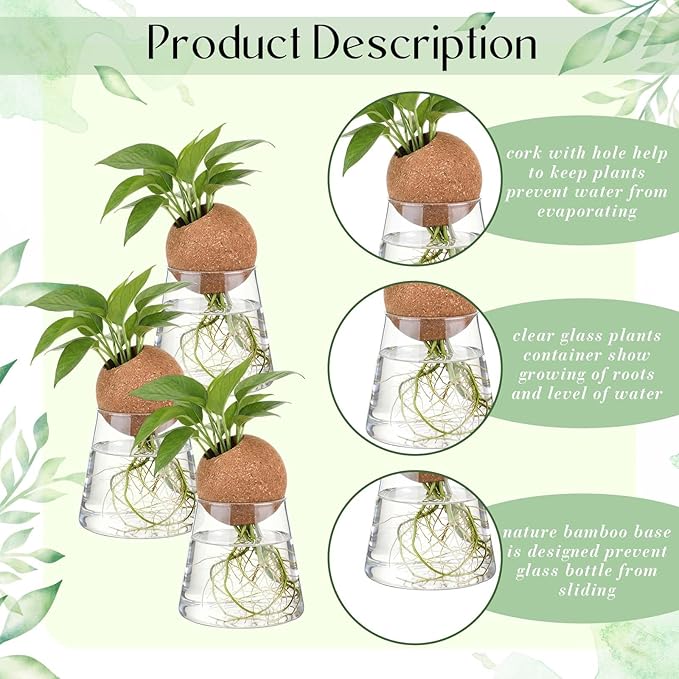 Baderke 3 Pcs Glass Plant Propagation Stations with Spherical Lid Glass Jars Plant Propagation Vases Hydroponic Spherical Cork Planter for Indoor Home Office Desktop Decor(Conical,3.15 Inches)