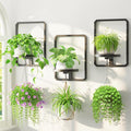 LASZOLA Plant Hangers Holder Wall Mount for Indoor Window, 3 Pack Floating Flower Stand Shelf with Hooks, Metal Picture Frame Hanging Planter Display Decor for Kitchen Bathroom, Black