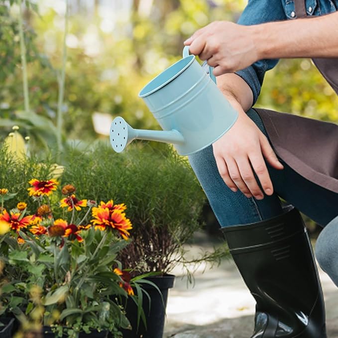 1.6L Watering Can for Indoor Outdoor Plants, Modern Small Watering Cans, Metal Flower Watering Can, Long Spout Watering Can-Colorful Plant Waterer for Indoor Bonsai Plants Garden Flowers (Light Blue)