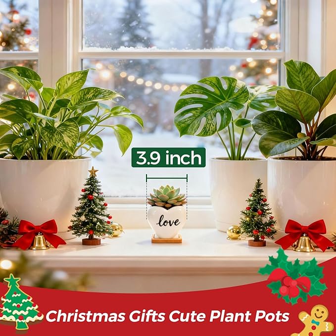 T4U Succulent Pots, 3.9 Inch Succulent Planters with Drainage, Small Cute Plant Pots for Windowsill, Funny Ceramic Plant Pots, Thank You Gift for Teacher, Mom, Friend, for Coworkers
