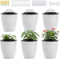 6 Pack Hanging Planter Wall Planter Self Watering 5 inch Plant Pot with Hardware Vertical Planter Outdoor Indoor Plants Herb Garden Home Décor Kitchen Balcony Railing Shelf Fence (Medium)