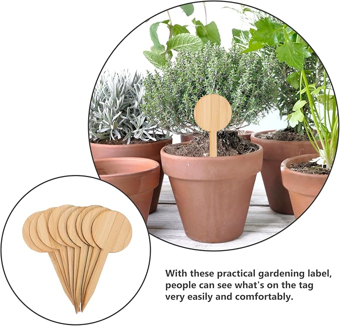 Kisangel Plant Markers Labels 60 Pcs Bamboo Potted Plant Round Live Succulents Plants
