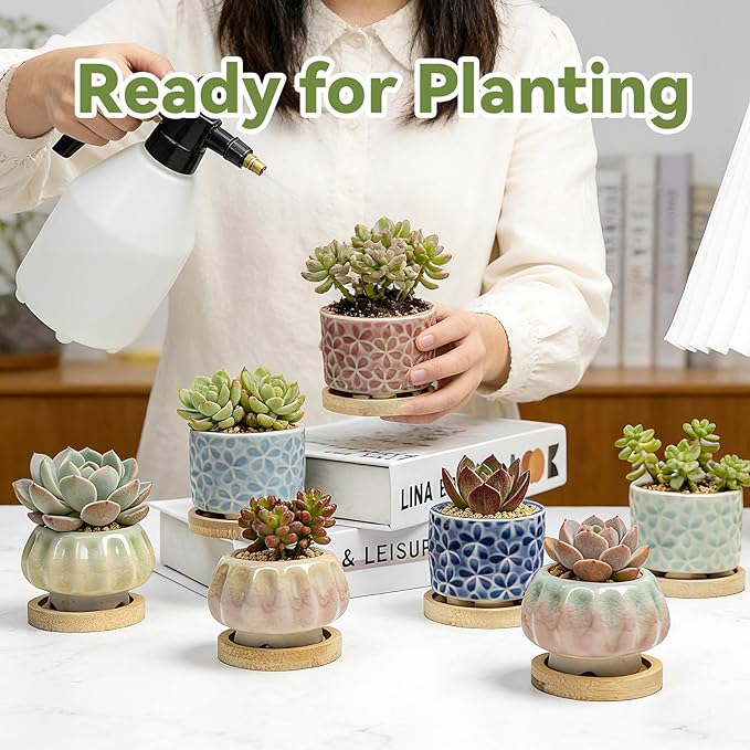 8 Pcs Succulent Pots with Ice Crack Glaze, 2 Shapes & 8 Colors Ceramic Succulent Planters with Drainage Holes & Bamboo Saucers, Indoor Plant Pots for Home Garden，Desk Decor, Office Decor, Gift Idea