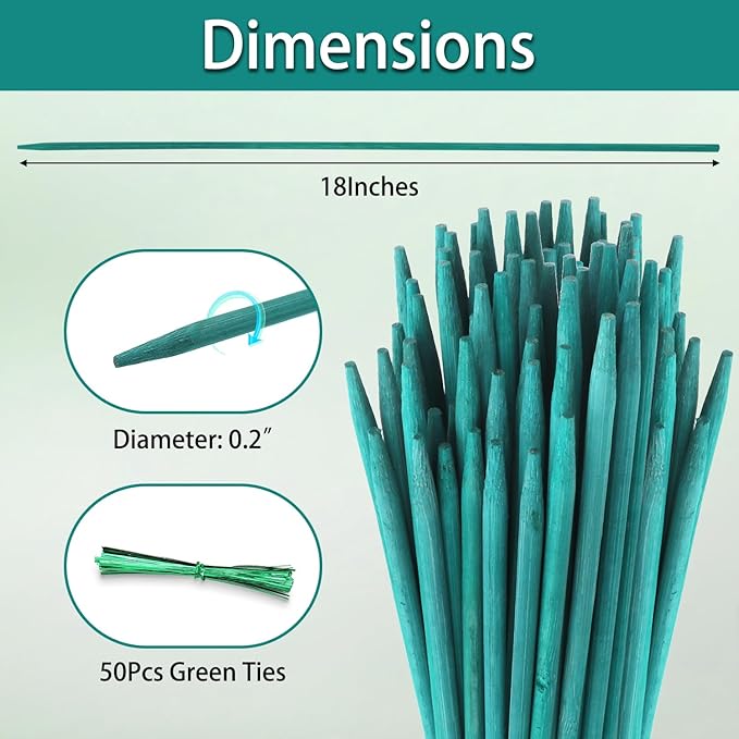 HAINANSTRY Bamboo Plant Stakes 50PCS, 18Inch Natural Bamboo Garden Stakes, Supports Indoor & Outdoor Plants, Straight Style, Green