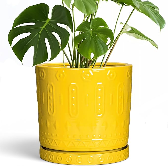 Eightpot Ceramic Pots for Plants, 10 Inch Plant Pot with Drainage Holes and Tray, Round Planter for Indoor Outdoor Plants, Modern Decorative Flower Pots, Office Decor, Birthday Gift for Women, Yellow