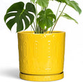 Eightpot Ceramic Pots for Plants, 10 Inch Plant Pot with Drainage Holes and Tray, Round Planter for Indoor Outdoor Plants, Modern Decorative Flower Pots, Office Decor, Birthday Gift for Women, Yellow