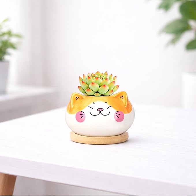 Cute Cat Animal Ceramics Planter Succulent Pot with Drainage, Plant Pot for Indoor Mini Plants Flower Cactus, Home and Garden Decor Fun Gifts