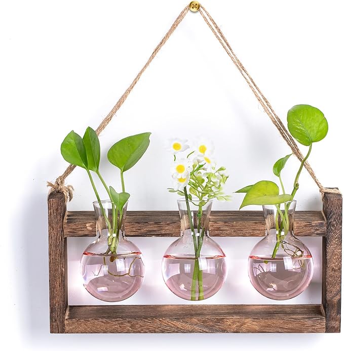 Plant Propagation Station with Wood Stand - Wall Glass Terrarium for Cuttings Air Plants Small Flower Pothos - Gift for Women Plant Lovers (Gradient Pink)