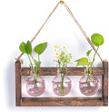 Plant Propagation Station with Wood Stand - Wall Glass Terrarium for Cuttings Air Plants Small Flower Pothos - Gift for Women Plant Lovers (Gradient Pink)
