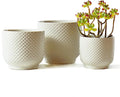 4 + 5 + 6 Inch Ceramic Pots for Indoor Plants, Succulents Plant Pots, Orchid Flower Pot with Drainage Hole, Modern Clay Stoneware Planters, Set of 3 (White, 4+5+6 Inch)