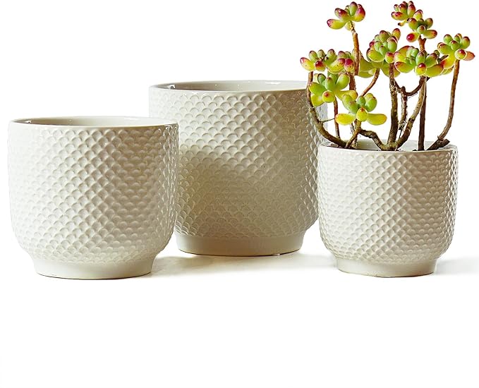 4 + 5 + 6 Inch Ceramic Pots for Indoor Plants, Succulents Plant Pots, Orchid Flower Pot with Drainage Hole, Modern Clay Stoneware Planters, Set of 3 (White, 4+5+6 Inch)