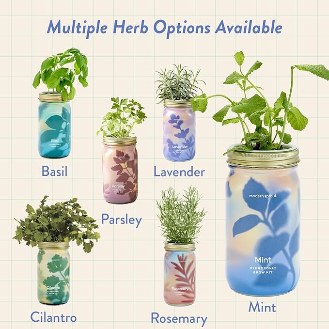 Modern Sprout Mason Garden Jar - Self-Watering Hydroponics Growing System Kit with Organic Herb Seeds - Jar Planter for Indoor Herb Garden - Seed Starter Kit - Home Decor & Gifting - Mint