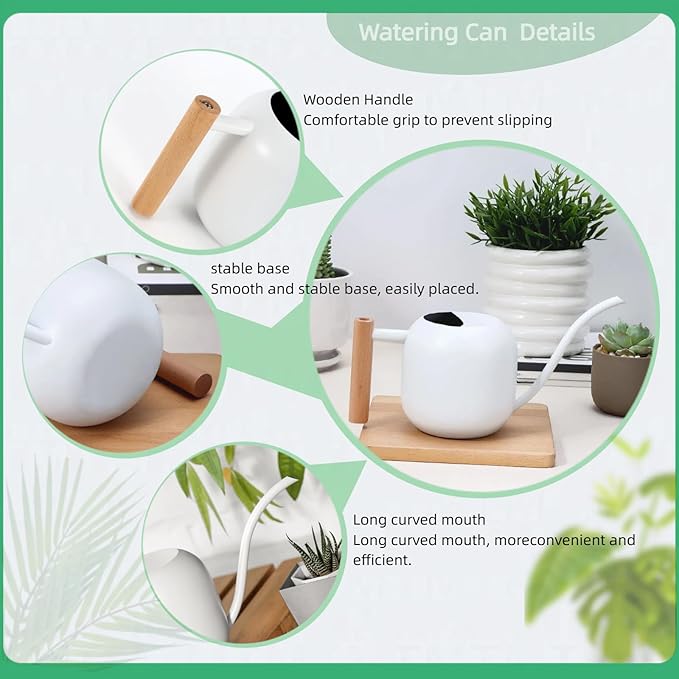 Indoor Watering Can with Long Spout, 40oz Capacity, White Metal with Wood Handle,Plant Mister Spray Bottle (White-W2)