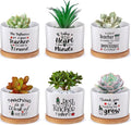 Potchen 6 Pcs Teacher Appreciation Gifts Bulk Succulent Pots Thank You for Helping Me Grow Planter with Bamboo Tray Funny Ceramic Succulent Gifts for Teacher, Women, Coworker