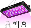 Upgraded BW2000 LED Grow Lights Double Chips Full Spectrum with 10ft Cable for Greenhouse and Indoor Plant Veg and Flower Growing [Black]