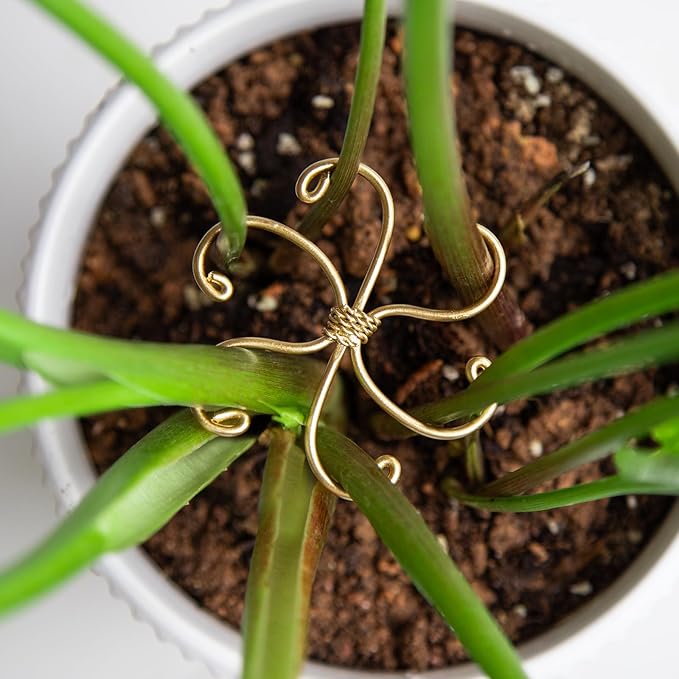 5Pcs Monstera Plant Stem Support Hook (2.75x2.75 inches) - Durable Metal Stem Support for Monstera & Fishbone Cactus, Easy Installation, Ideal Gift for Plant Lovers & Home Decor