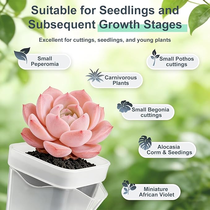 TREWAVE 16 Pack 2" Mini Self Watering Pots for Indoor Plants, Small Clear Plastic Planters with Drainage Holes, Propagation Pots for Alocasia Corms, African Violets, and Succulents