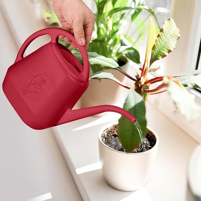 Hand Watering Can - for Home Plant Garden - 1/2 Gallon - Wine Red