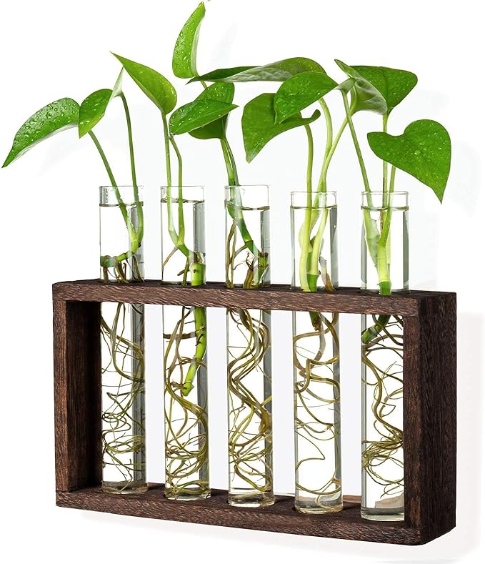 Wall Mounted Hanging Glass Test Tube Planter Propagation Station Glass Vase Rack with Wood Stand, Plant Terrarium Holder for Hydroponics Succulent Air Bamboo Plants with Test Tube