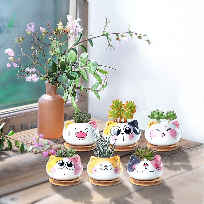 Succulent Pots with Drainage 3.6 Inch Mini Cat Pots for Plants Tiny Animal Planter Small Ceramic Air Plant Flower Pots Cactus Faux Planters Containers with Bamboo Tray