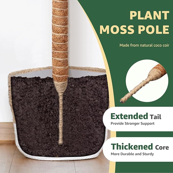 2-Pack 60in Large Moss Pole for Monstera, Bendable & Sturdy Pothos Plant Climber Support, Philodendron, Fishbone Cactus & Indoor Tropical Houseplants, Made for Coco Coir