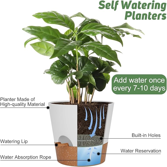 YNNICO 10 inch Plant Pots, Self-Watering Planters with Drainage Holes & Saucers for Indoor and Outdoor Plants (2-Pack,White