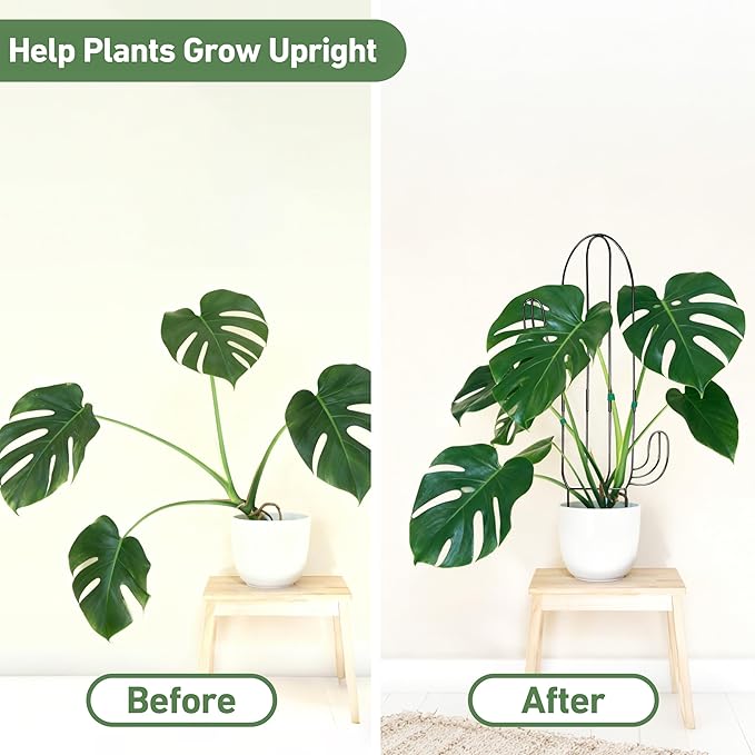 Plant Trellis for Climbing Plants Indoor, Cactus Trellis for Potted Plants, Pothos Hoya Monstera Metal Houseplant Climbing Support for Garden Balcony, 2P