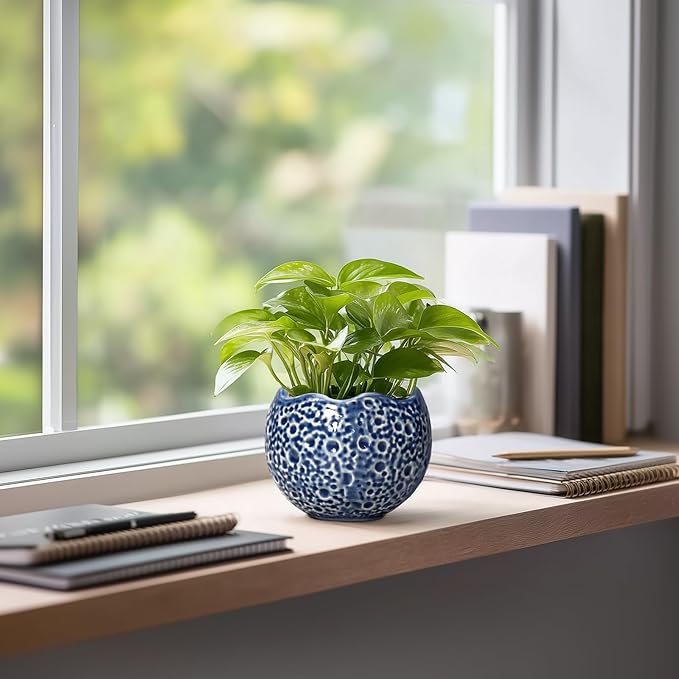 4 Inch Plant Pots - Small Ceramic Planter with Drainage Hole, Succulent Pots for Indoor Outdoor, Unique Round Planter, Modern Decorative Flower Pot, Desk Decor, Plant Lovers Gifts, Blue