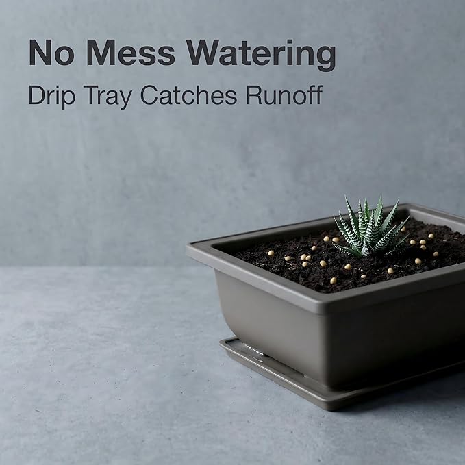 C CRYSTAL LEMON Bonsai Training Pots with Drip Trays, 3-Pack, Compact Plastic Planters with Drainage Holes & Mesh Screen, for Bonsai, Succulents & Cactus (Small)