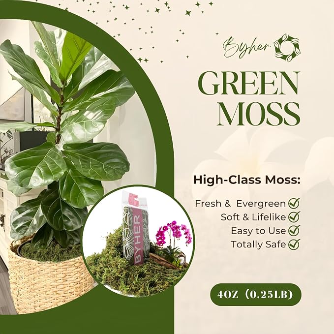BYHER 4 OZ Fake Moss for Potted Plants, Artificial Green Moss for Crafts Faux Moss for Indoor Planters Fairy Garden Table Centerpieces Wedding Decoration (Fresh Green)