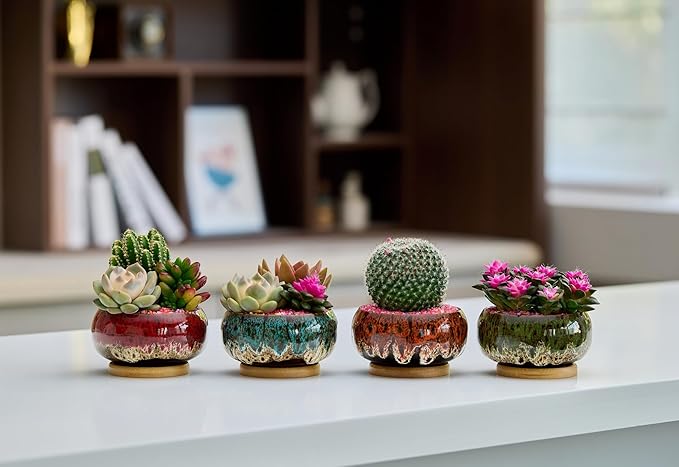 Cute Ceramic Succulent Garden Pots, Planter with Drainage and Attached Saucer, Set of 5 -Plants Not Included (Round+White Border)