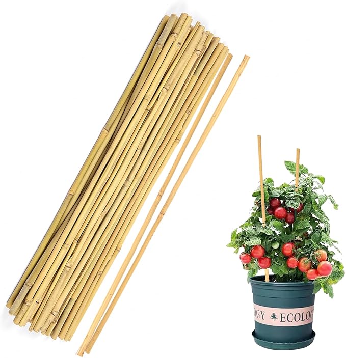 Cambaverd 40pcs Natural Bamboo Sticks for Indoor and Outdoor Plants, 16 Inch Plant Support Stakes for Tomato, Beans, Potted Plants and Vegetable