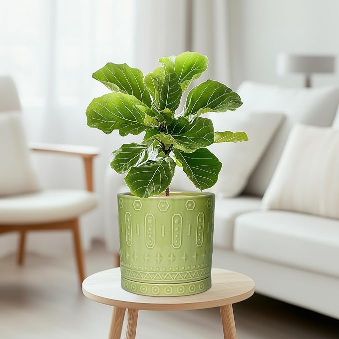 Eightpot 8 Inch Plant Pots - Ceramic Planter for Indoor Plants Outdoor, Round Ceramic Flower Pots with Drainage Hole and Saucer, Boho Decorative Planter, Home Bedroom Decor, Birthday Gifts, Green