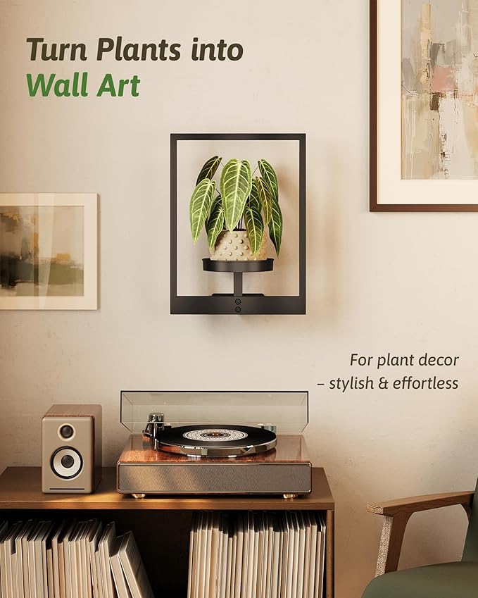 GENTINGBRO Wall Plant Holder Wall Planters for Indoor Plants Plant Wall Shelf Plant Hanger Indoor Hanging Plant Holder Wall Decor Plant Frame for Living Room Window Balcony
