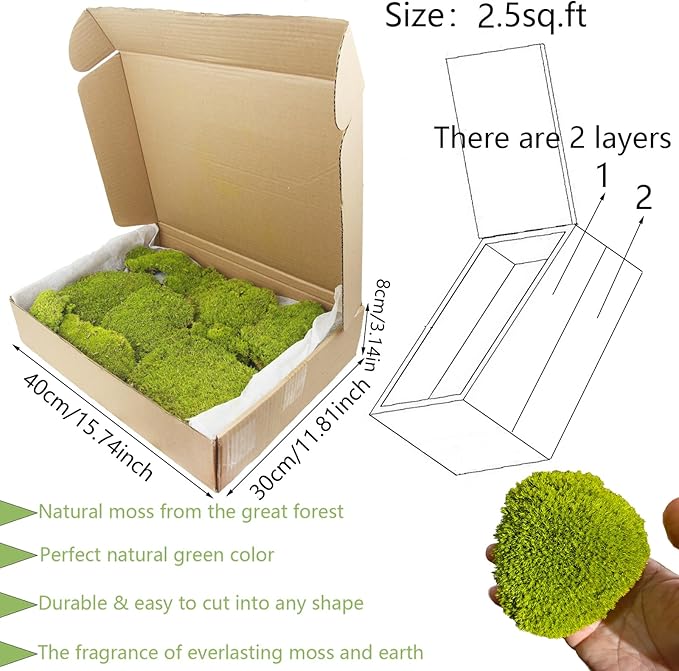 FAICOIA Preserved Pillow Moss Bulk Green Moss Balls for Bowls 2.5 sq.ft Natural Preserved Pole Moss Pillow for Wall Art Terrariums Crafts Fairy Gardens Pot Plants Easter Table Decor Yellow Green